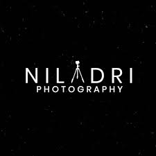 Niladri Photography logo
