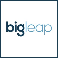 Big Leap Digital Services Pvt Ltd logo