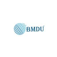 BM Digital Utilization logo