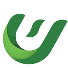 Upswing Digital India logo