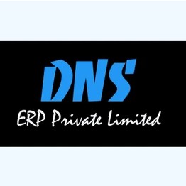 DNS ERP