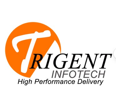 TrigentERP for Manufacturing